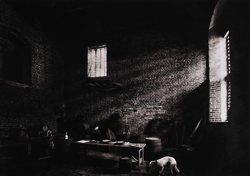 Ganzoni Cup (Pictorial Mono) - The Whippet by Roy Essery DPAGB.jpg